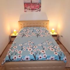 Sibiu Travel Apartment