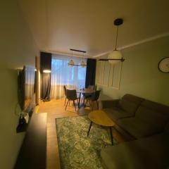 Two Bedroom COZY apatment