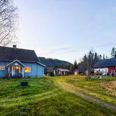 Nice Home In Braskereidfoss With Wifi