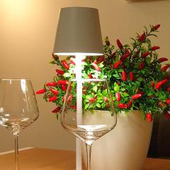 DOMUS ALE Poggio Verde - with private parking