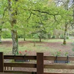 chalet à la campagne