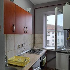 Garsoniera in inima Targului de Craciun