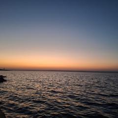 شاليهات البرج