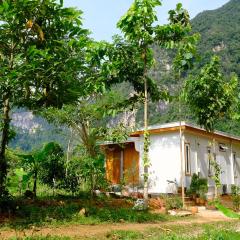 Cozy Tiny House Nature Retreat with Mountain Views