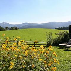 Ferienwohnungen am Arber - Haus Osser -