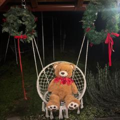 Holiday house On the riverside