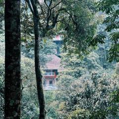 900 Kandi Resort, Wayanad