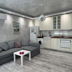 Cozy and modern apartment Krasno selo, free parking