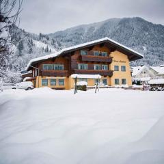 Apartments in Flachau - Salzburger Land 316