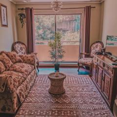 Hermoso Departamento Central en Concepción - 2 Dormitorios - 1 Baño - 1 Estacionamiento - Mejor Evaluado en Chile 2023-2025 - Incluye Consola de Juegos Retro - Te ayudo con panoramas