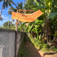 GingerLime Surf and Bakery House