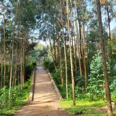 Ubucuti Gorilla Lodge