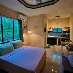 Palm Haven w Starlink