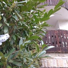 Hotel Balduin - Natur & Flussblick