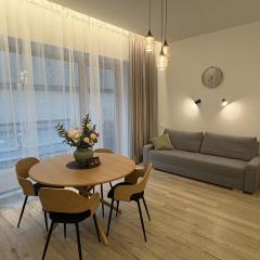 Studio 204 Vilnius Old Town