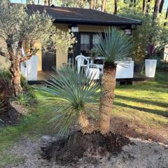 Studio Euronat center