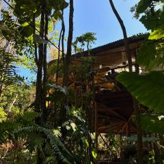 GaiaPipa ComunidArte