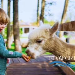 Apartament w Baltic Natur Park - poddasze ALPAKI sauna basen widok na park