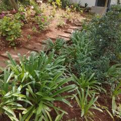 RSM Country Estate Unit 2