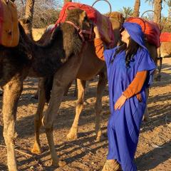 Expérience Chameau à Tanger - Nature & Sérénité