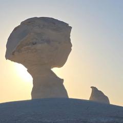 Tours of the White Desert