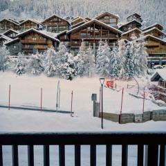 Duplex tout confort pied des pistes