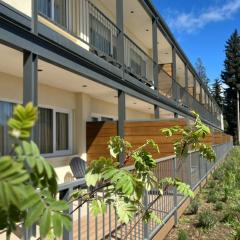 Huinid Pioneros Aparts