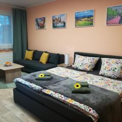 Zentrale und ruhige Ferienwohnung nahe Hauptbahnhof