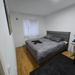 Vienna Cozy Apartment 129