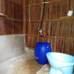 Wobbegong Raja Ampat