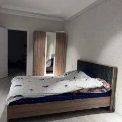 Cozy New Shared Apartment