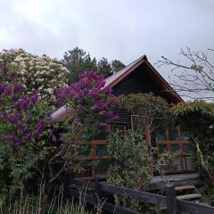 Cabaña el bosque de la bruja