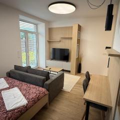 1 room apartment with garden, Nálepková