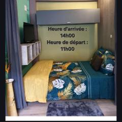 Le Bivouac du Maido studio 1