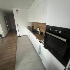 Oławska 1A mieszkanie