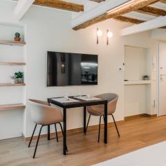 I leoni - Downtown room camera in centro a Reggio Emilia