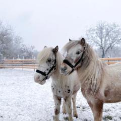 Seoski turizam Jagodić