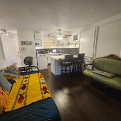 One Bedroom Suite in perfect location Vancouvers Mount Pleasant