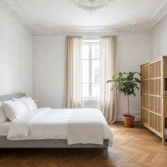 Luxurious central apartment Strasbourg center