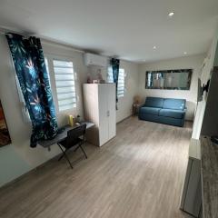 Studio Zen Caza Form