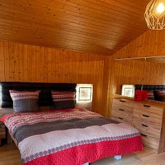 Big Apartment nearby Interlaken Parking