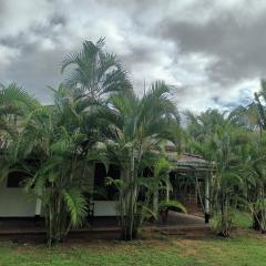 Whispering Wind Yala