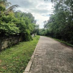 Whispering Wind Yala