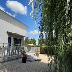 Charmant gîte au bord du lac de la Vingeanne avec terrasse - FR-1-611-129