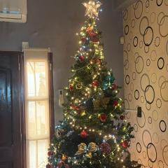 Infinit Home Duplex entero