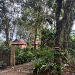 Bamboo Hideaway Resort