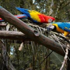 OYO Home 90416 Exclusuites