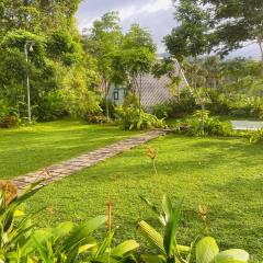 Rain Drops Wellness Villa