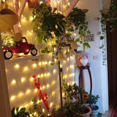 INTERO APPARTAMENTO catania policlinico