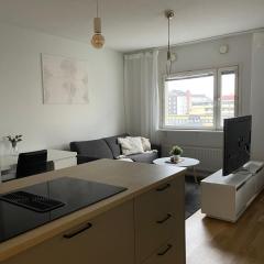 Apartment Puijonkatu